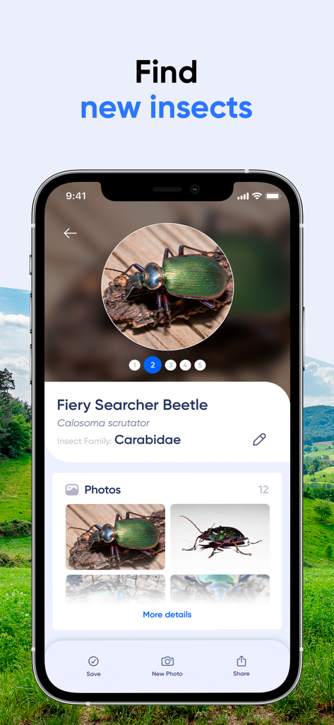 Bug Identifier: AI Insect id - Fiery Searcher Beetle identification result on Bug Identifier app