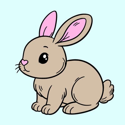 bunny
