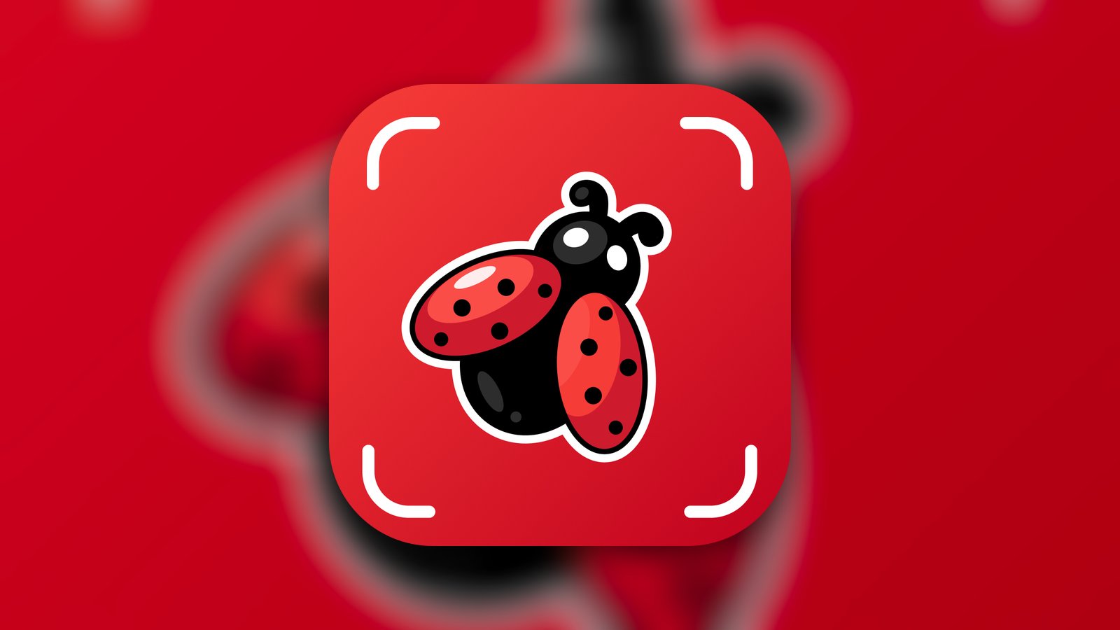 Insect Bug Identifier & Finder - Education App | MWM