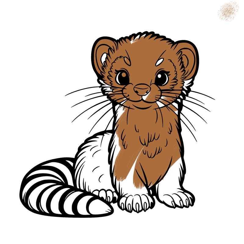ferret