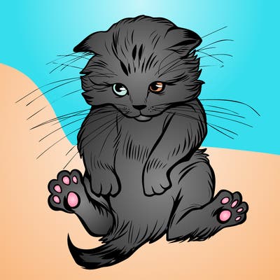 animals_20