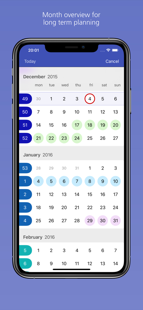 Easy Calendar app showing a month overview screen for long term planning on an iPhone