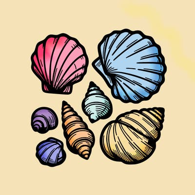 shells