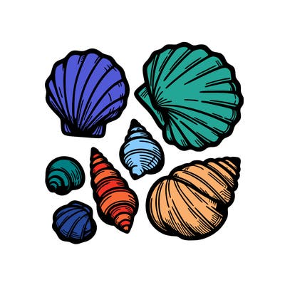 shells