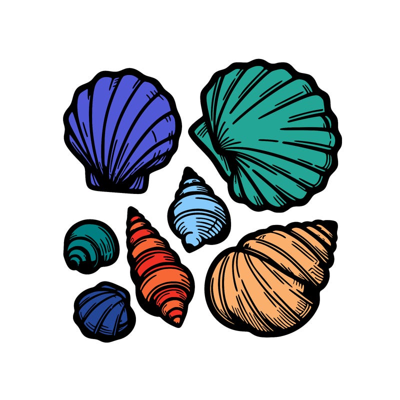 shells