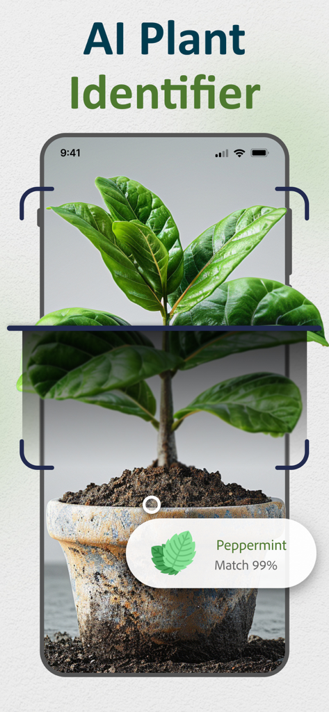 AI Plant Identifier and Care - Pantalla de smartphone utilizando IA para identificar una planta de menta en maceta con una coincidencia del 99 por ciento