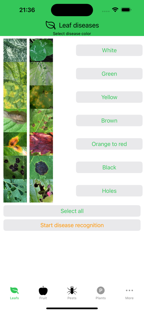 Interface showing options to filter plant diseases by leaf color and symptoms like holes
