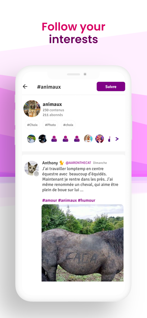Interfaccia dell'app mobile Sondago che mostra la funzione segui i tuoi interessi con una pagina della community per gli animali