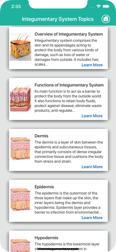 Anatomy : Integumentary System - 真皮、表皮、外皮系の機能を含む解剖学的学習トピックのリスト