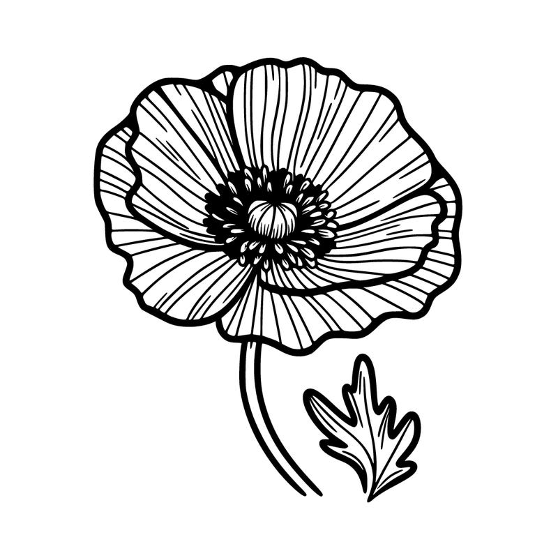 poppy