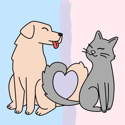 animals_22