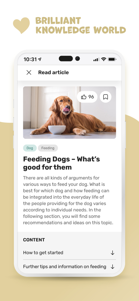 petsXL | smart animal health - Smartphone screen showing a petsXL article about feeding dogs with a picture of a golden retriever.