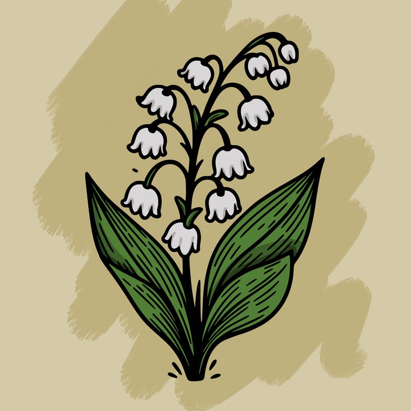 lily of the valley flower