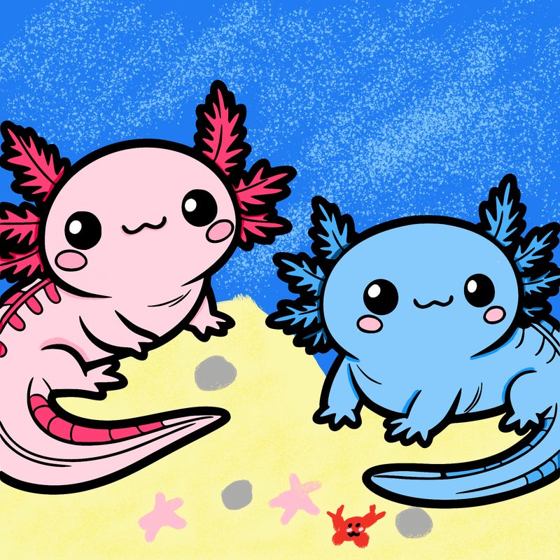 cute axolotls