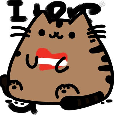 pusheen cat