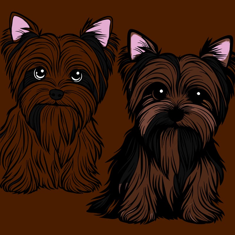 yorkieshire terrier