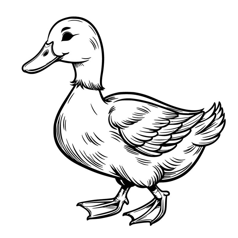 realistic duck