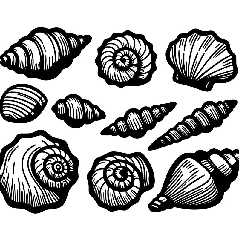 shells
