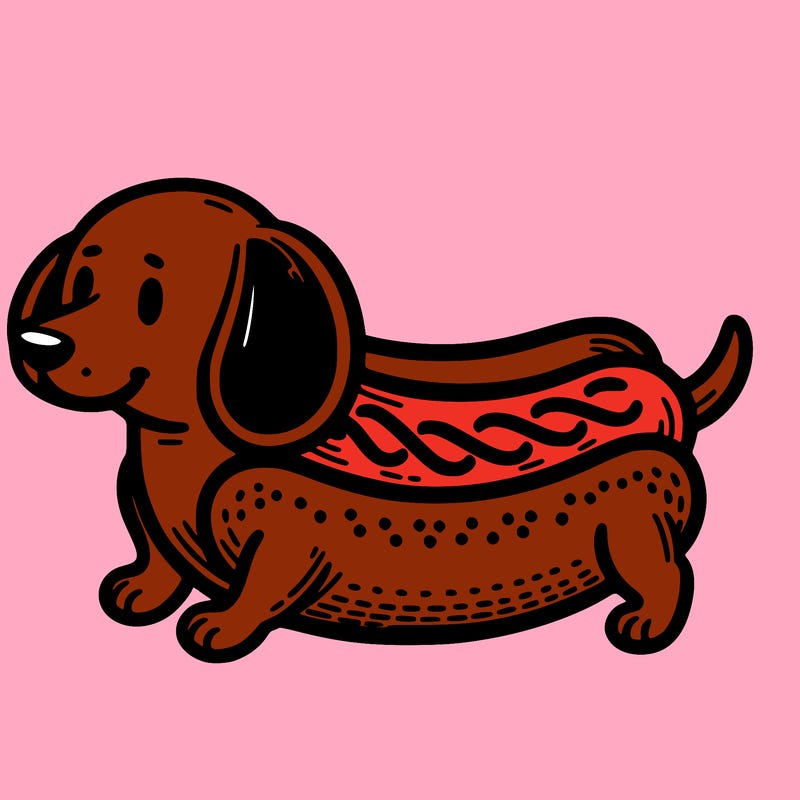dauchsund hot dog