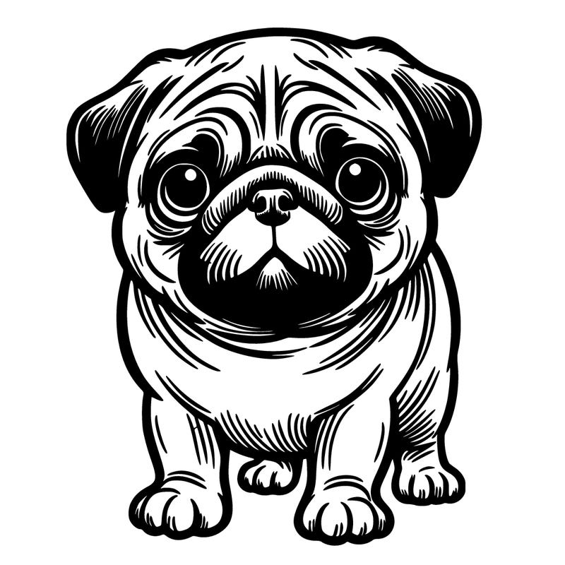pug