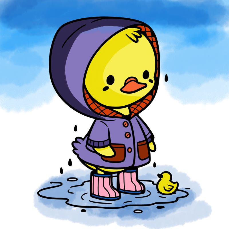 baby duck in a rain coat and boots, in a puddle while it’s raining