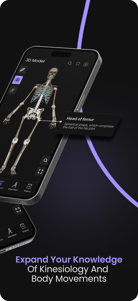 Smartphone displaying an interactive 3D skeletal anatomy model in the Posture by M and M app