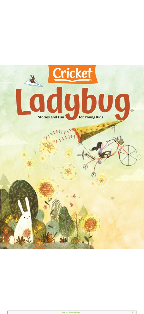 Ladybug: Fun stories & songs - Cover of Ladybug magazine featuring whimsical illustrations of a girl on a flying bike and a white rabbit