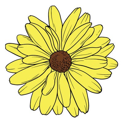 flowers_21