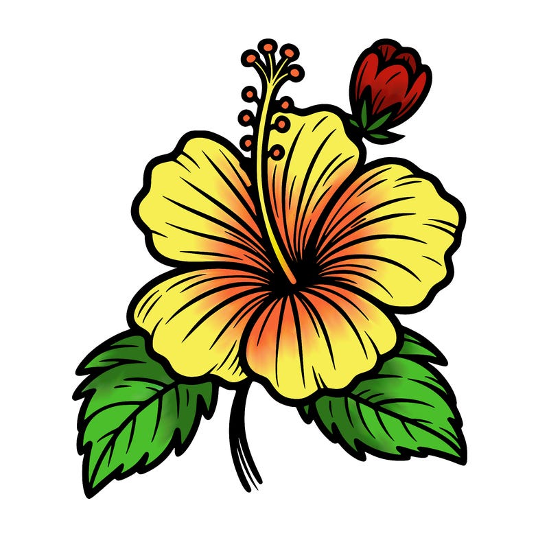hibiscus flower