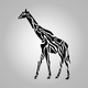 Longer - Height & Posture