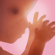 Pregnancy + | Tracker App