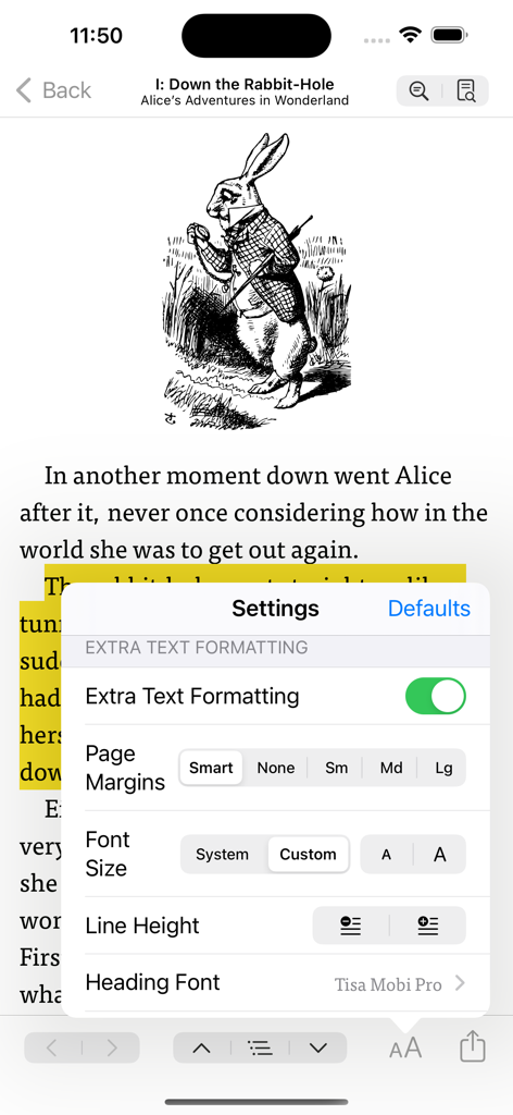 CHMate app interface showing customizable text formatting and page margin settings