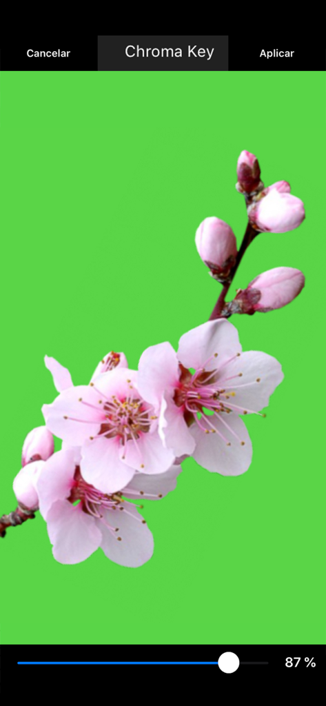 Interfaz de la herramienta Chroma Key de la aplicación Marcas de Agua eliminando un fondo verde de una foto de flores rosas