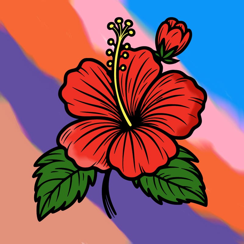hibiscus flower