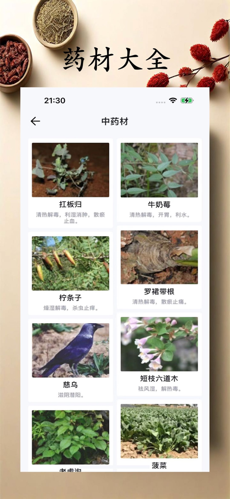 本草中医-自学中医小助手 - Interfaz de una aplicación móvil que muestra una cuadrícula de hierbas medicinales chinas tradicionales con sus nombres y propiedades terapéuticas.