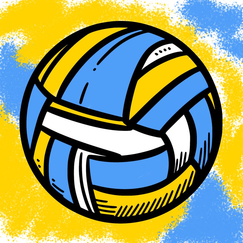 volleyball