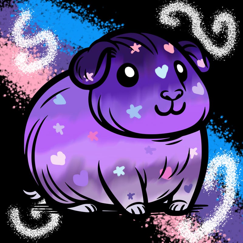 guini pig
