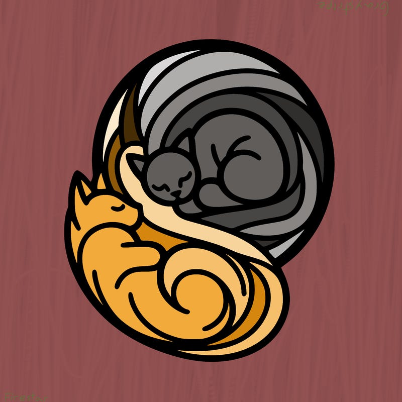 abstract art designed cat curled in a ball seeing reflection of itself