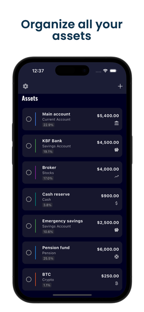 Net Worth Tracker - AssetView - AssetView mobile app screen displaying a breakdown of various financial assets including bank accounts, stocks, and cryptocurrency.