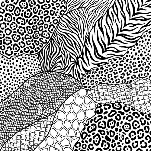 Animal Print Patterns
