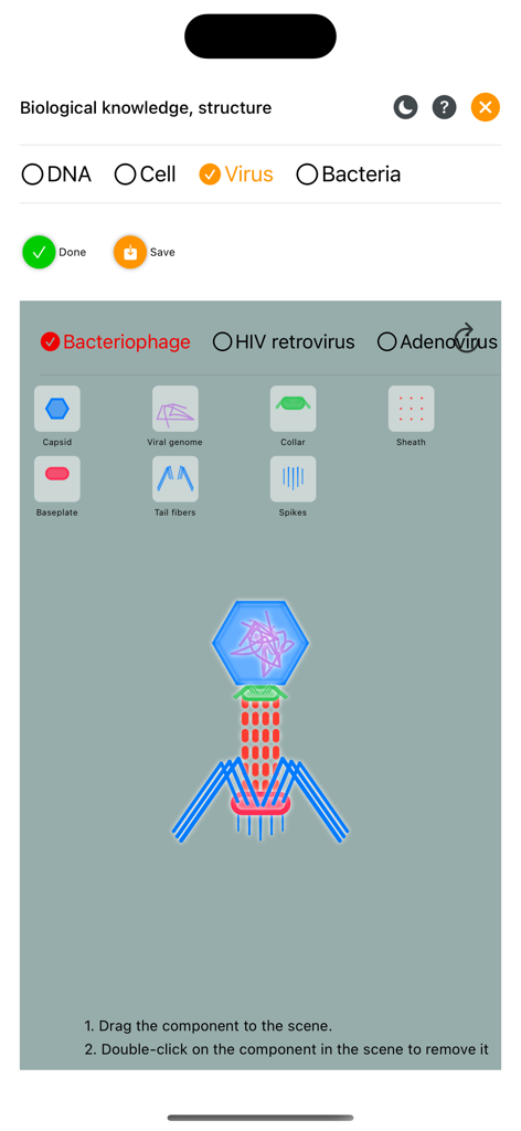 Educational biology diagram of a bacteriophage virus in the Whiteboard app