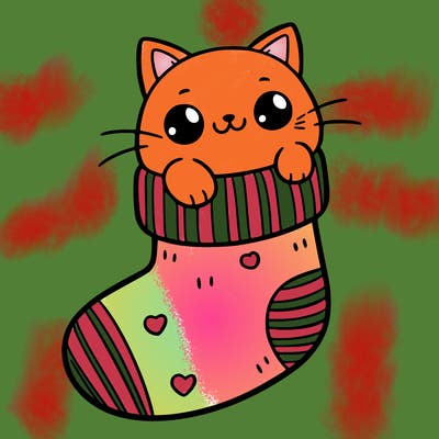 cute cat in a sock