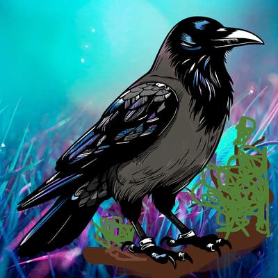 realistic crow