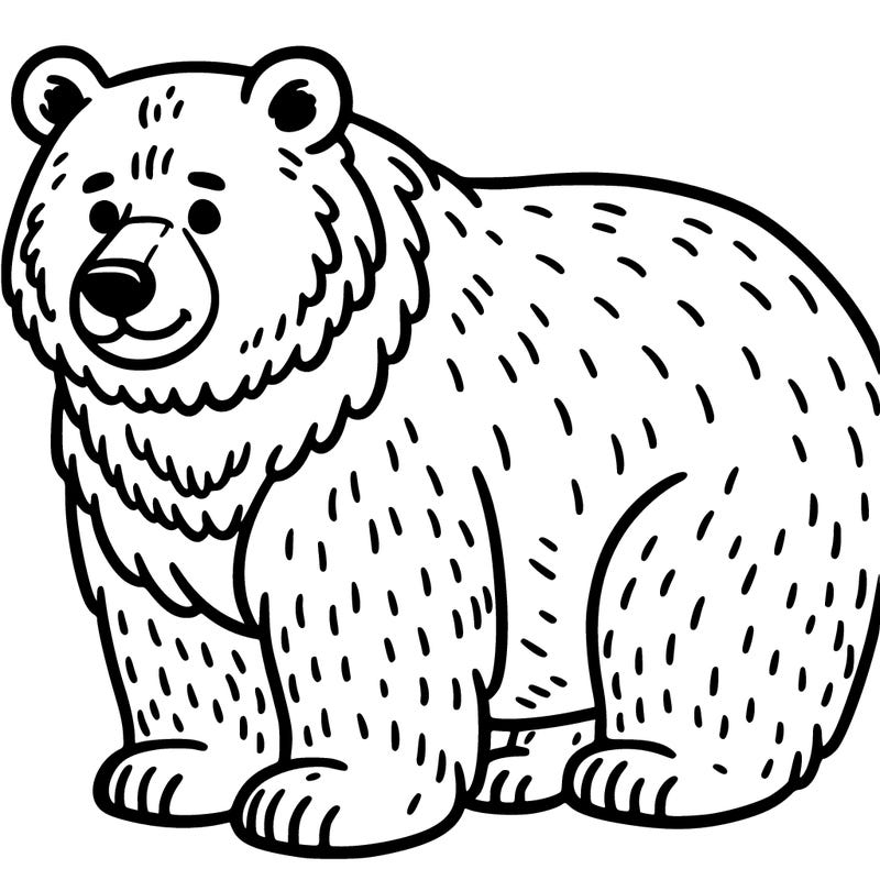 bear