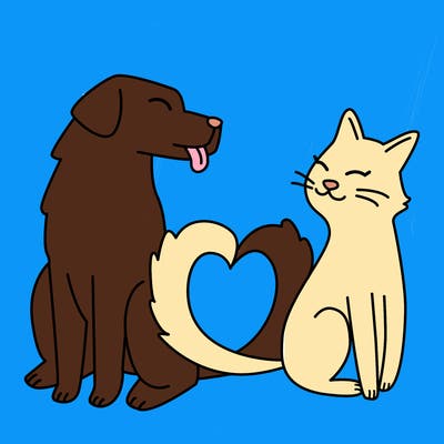 animals_22