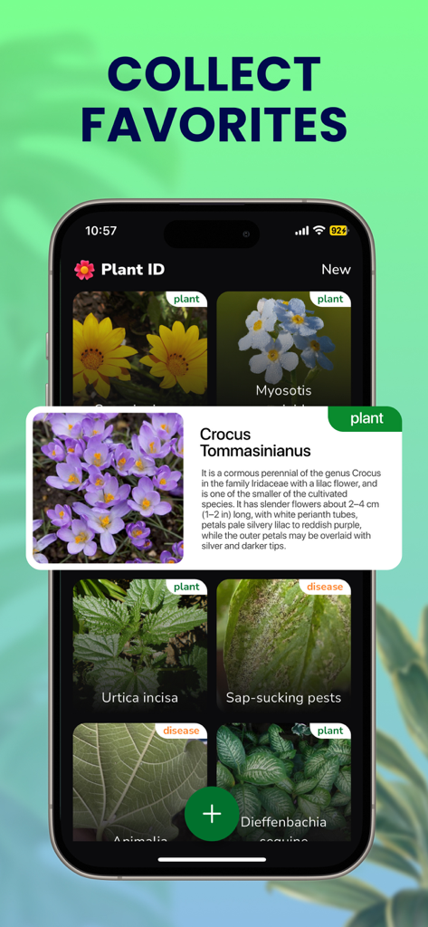 Plant ID - Identifier & Care - Plant ID mobile app showing a collection of favorite plants and identified plant diseases