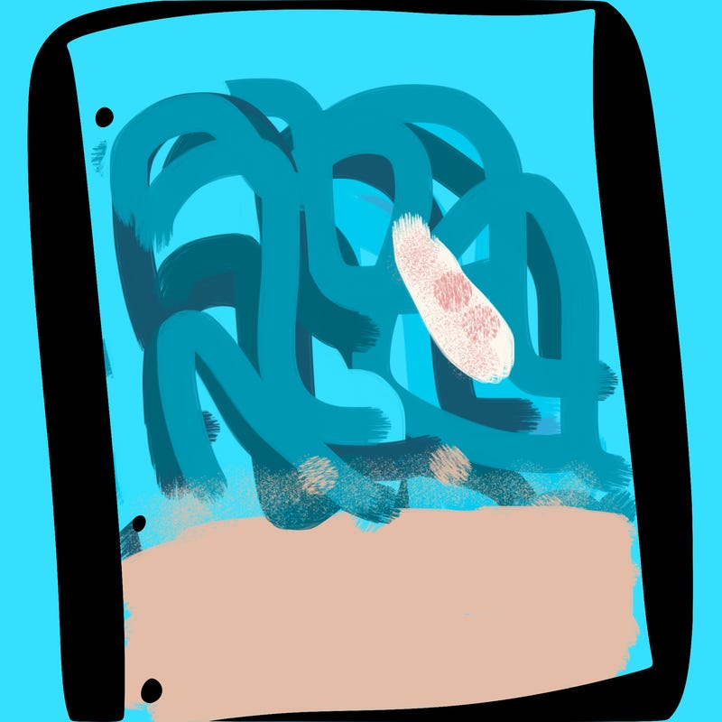 blank white page with nothing drawn on it