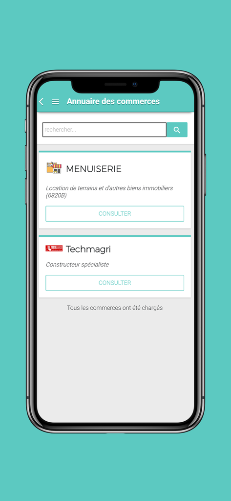 Maelis - Smartphone screen showing the Maelis app business directory with local business listings and a search bar