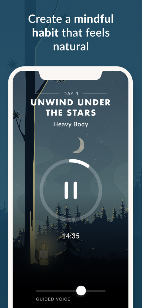 Wild Journey - Nature Sounds - Interfaz de la aplicación Wild Journey que muestra una sesión de meditación guiada bajo las estrellas con una ilustración de la naturaleza