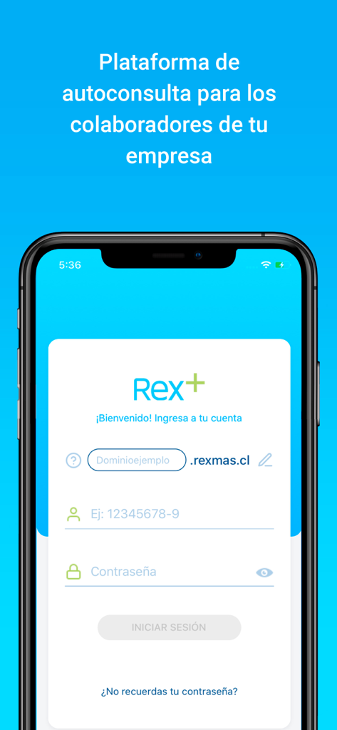 Rex+ - Pantalla de inicio de sesión de la aplicación móvil Rex plus para el portal de empleados de RRHH que muestra los campos para el nombre de dominio, ID de usuario y contraseña